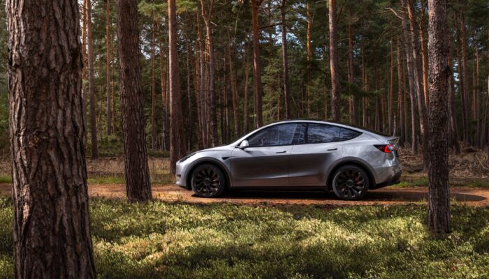 Design Highlights of the 2024 Tesla Model Y